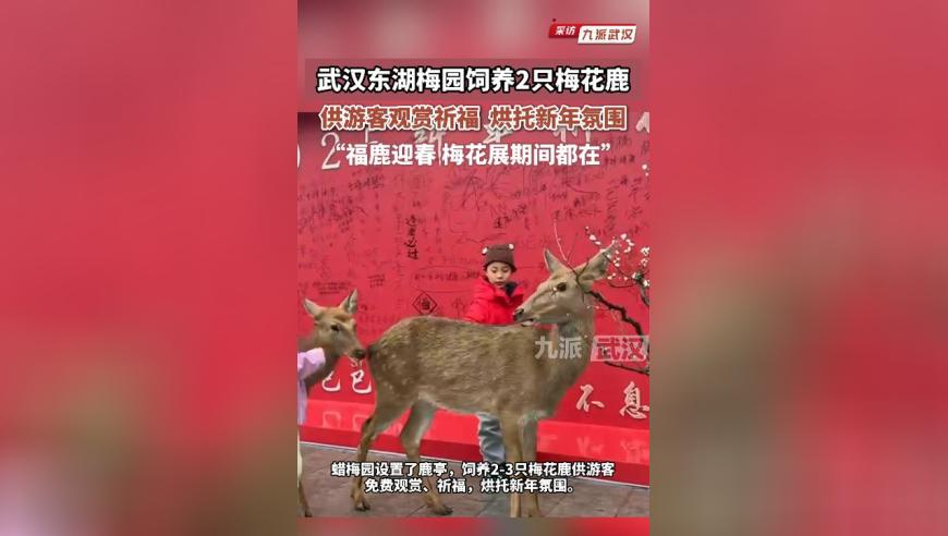 高速免费最后1分钟 司机狂按喇叭,澳门今天开什么号码,最佳精选解释落实_游戏版V13.12