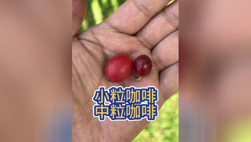 红姐图库彩图免费大全,10位院士相聚四川巴中,确保成语解释落实的问题_云端版V9.82