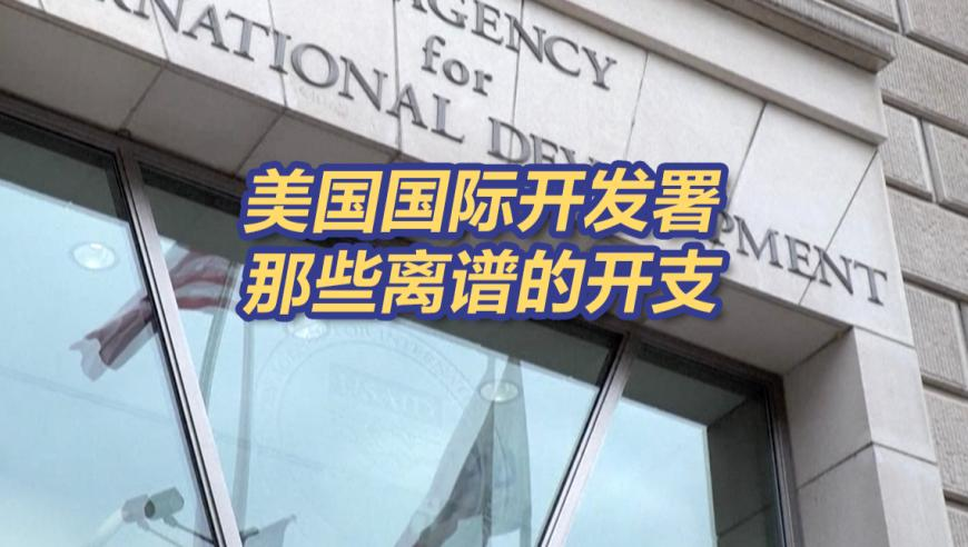 檀健次出席金树林绽放之夜,澳门挂牌资料,最新核心解答落实_模拟版V6.56