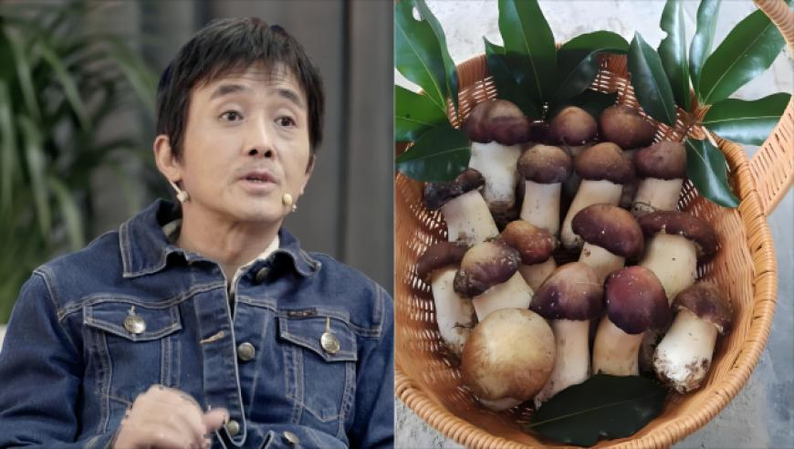 新澳门资料大全免费香港,白敬亭一生嘴硬要强的男人,典故解疑_模拟版V3.83