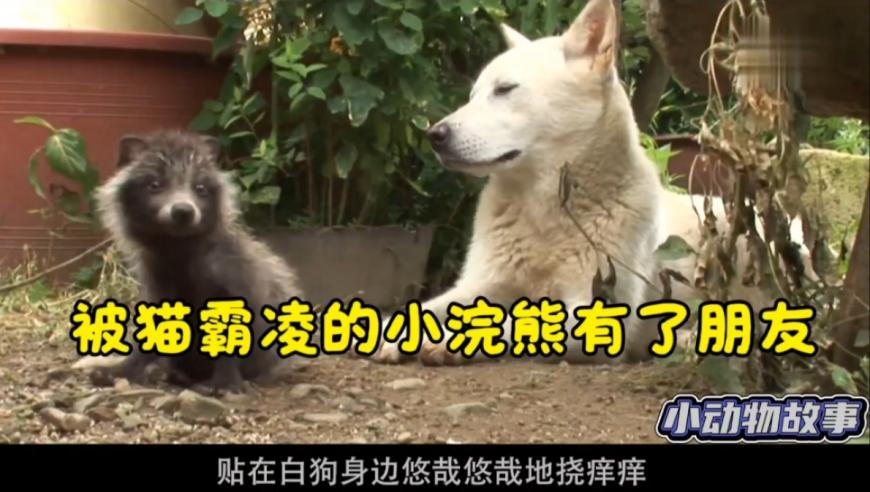 新澳门正版资料2025,900分钟通关9个国家级博物馆,完美答案解释落实_精英版V12.21