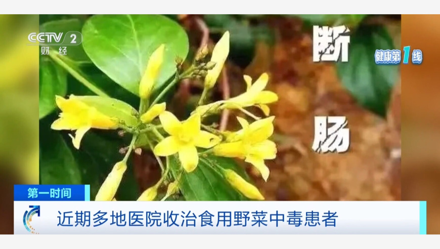 美联储货币政策趋于审慎,本港台六开彩开奖现场直播+开奖结果用到什么时候才开,最新答案解释落实_潮流版V9.40