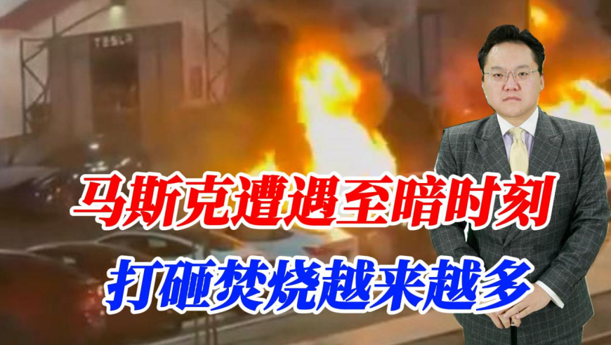 2025澳门开奖结果王中王,捡到了隐藏款的高智商小猫,社会责任方案执行_户外版V7.72